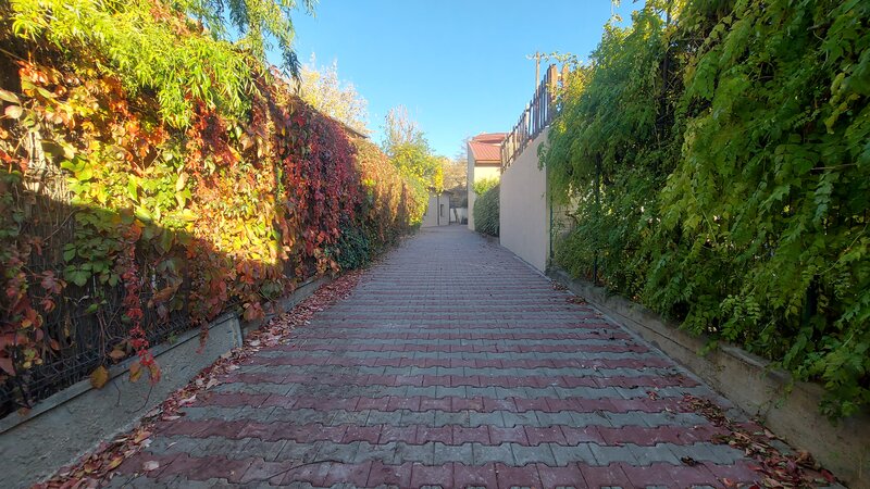 Piata Victoriei, str. Berzei,